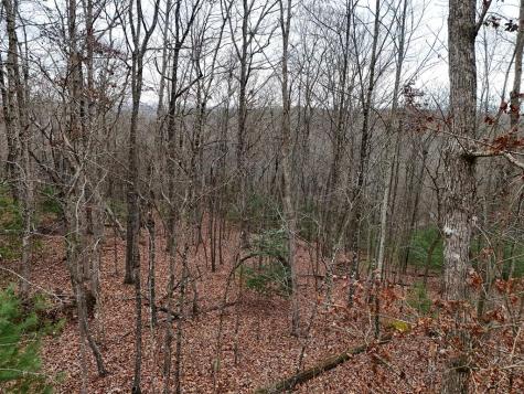 0 Dills Road Blue Ridge GA 30513