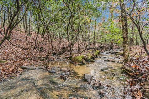 0 Dills Road Blue Ridge GA 30513