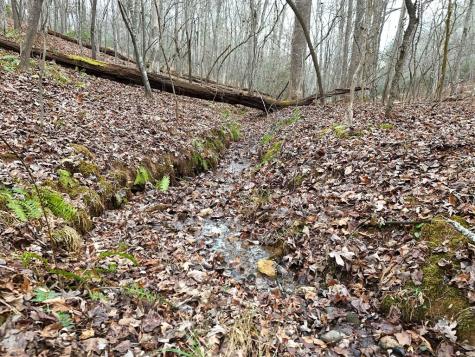 0 Dills Road Blue Ridge GA 30513