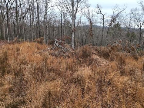 0 Dills Road Blue Ridge GA 30513