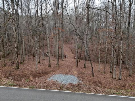 0 Dills Road Blue Ridge GA 30513