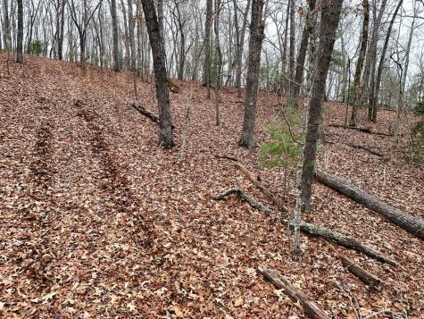 0 Dills Road Blue Ridge GA 30513