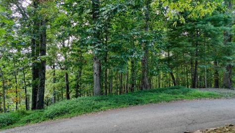 Lot 29 Harris Ridge Road Young Harris GA 30582