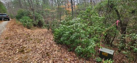 Lot 18 Gray Fox Trail Blairsville GA 30512