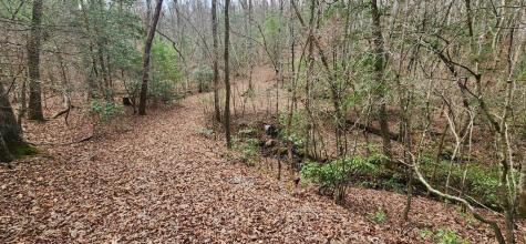 Lot 18 Gray Fox Trail Blairsville GA 30512