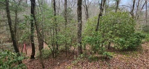 Lot 18 Gray Fox Trail Blairsville GA 30512