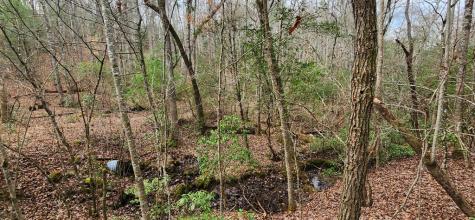 Lot 18 Gray Fox Trail Blairsville GA 30512