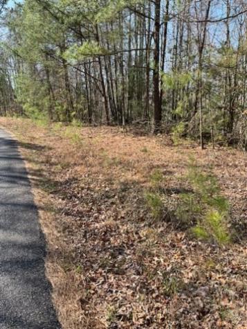 0 Lakeland Drive Ellijay GA 30540