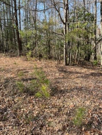 0 Lakeland Drive Ellijay GA 30540