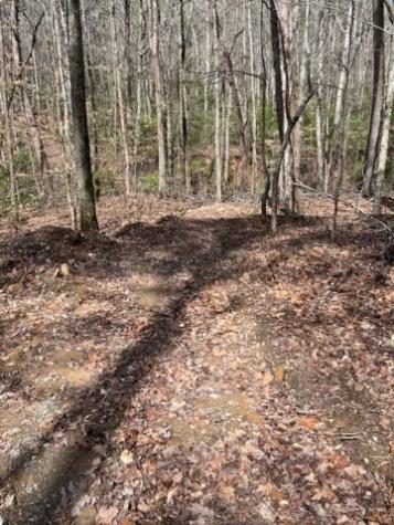 0 Lakeland Drive Ellijay GA 30540