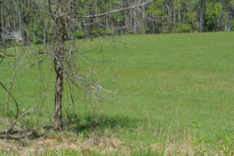 1404 Holly Point Road Hiawassee GA 30546
