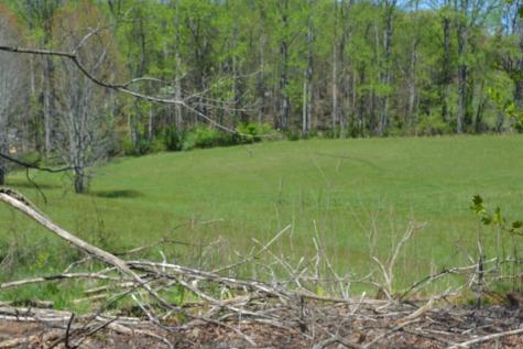 1404 Holly Point Road Hiawassee GA 30546