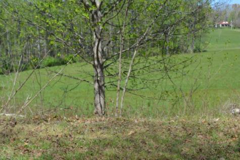 1404 Holly Point Road Hiawassee GA 30546