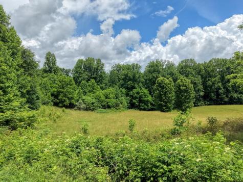 1404 Holly Point Road Hiawassee GA 30546