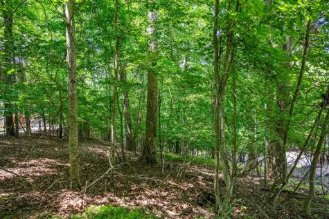 Lot 25 Talon Trace Blairsville GA 30512