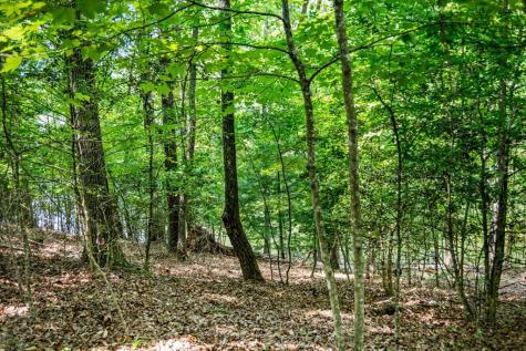 Lot 25 Talon Trace Blairsville GA 30512