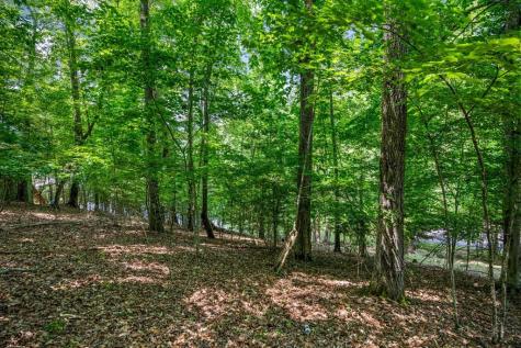 Lot 25 Talon Trace Blairsville GA 30512