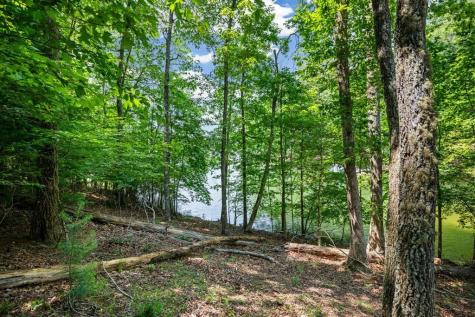 Lot 25 Talon Trace Blairsville GA 30512