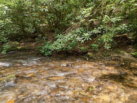 84 Pounding Mill Creek Hayesville NC 28904
