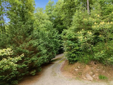 84 Pounding Mill Creek Hayesville NC 28904