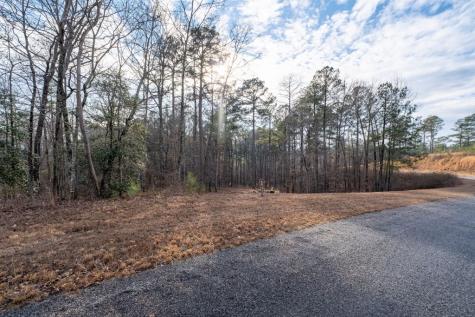 0 Freestone Street Talking Rock GA 30175