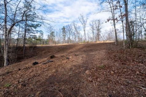 0 Freestone Street Talking Rock GA 30175