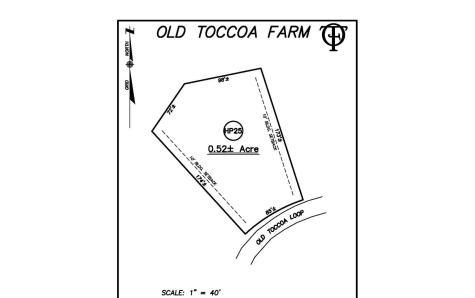 HP25 Old Toccoa Loop Mineral Bluff GA 30559