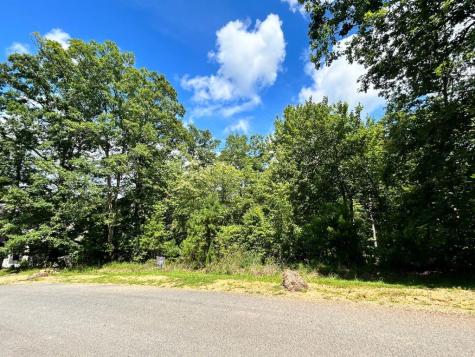 HP25 Old Toccoa Loop Mineral Bluff GA 30559