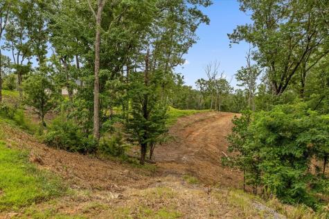 Lot 9 High Summit Drive Talking Rock GA 30175
