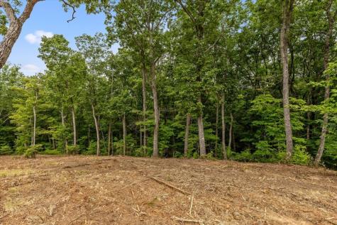 Lot 9 High Summit Drive Talking Rock GA 30175