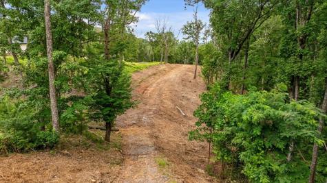 Lot 9 High Summit Drive Talking Rock GA 30175