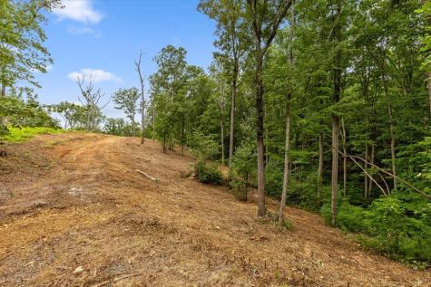 Lot 9 High Summit Drive Talking Rock GA 30175