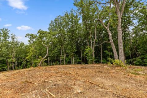 Lot 9 High Summit Drive Talking Rock GA 30175