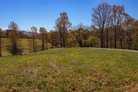 Lot 3 Hinton River Lane Hayesville NC 28904