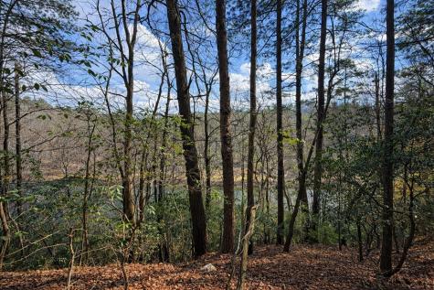 0 Hamlet Court Ellijay GA 30540