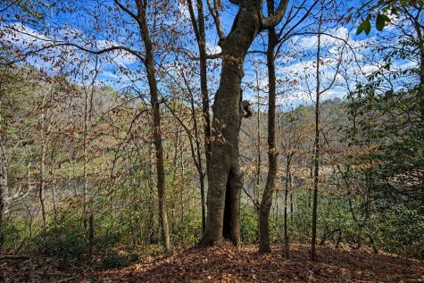 0 Hamlet Court Ellijay GA 30540