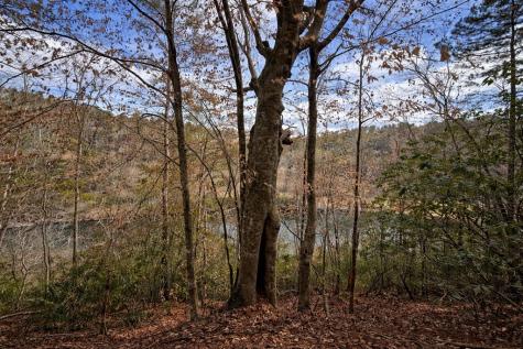 0 Hamlet Court Ellijay GA 30540