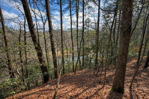 0 Hamlet Court Ellijay GA 30540