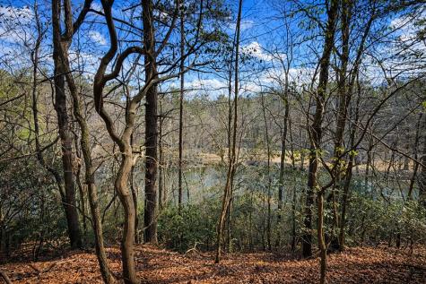 0 Hamlet Court Ellijay GA 30540