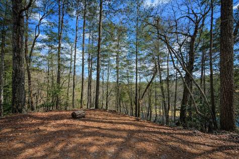 0 Hamlet Court Ellijay GA 30540