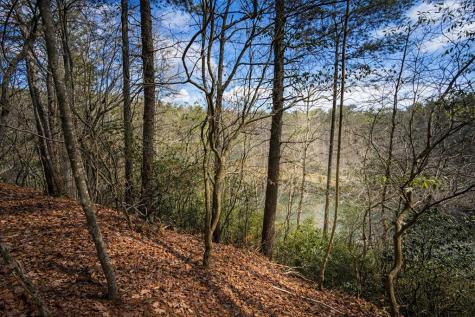 0 Hamlet Court Ellijay GA 30540