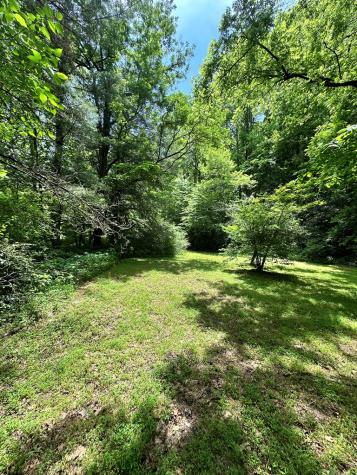 2172 Eagle Fork Hayesville NC 28904