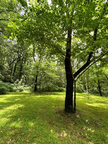 2172 Eagle Fork Hayesville NC 28904