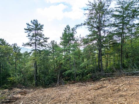 Lot 156 Crossover Lane Murphy NC 28906