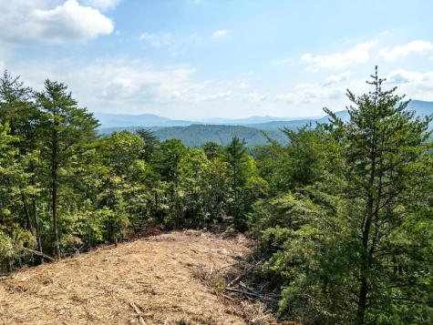 Lot 156 Crossover Lane Murphy NC 28906