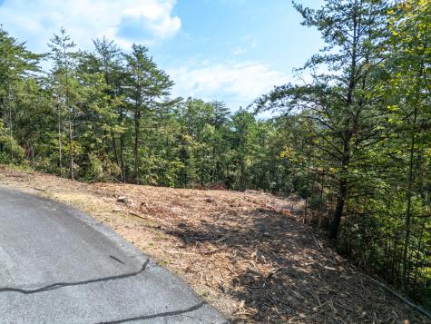 Lot 156 Crossover Lane Murphy NC 28906