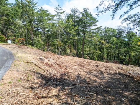 Lot 156 Crossover Lane Murphy NC 28906
