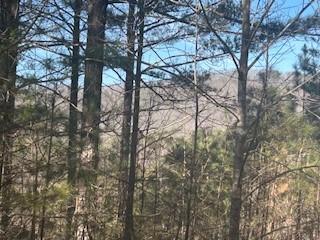 Lot9 Pinehurst Road Blairsville GA 30512