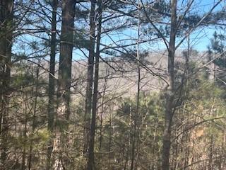 Lot9 Pinehurst Road Blairsville GA 30512