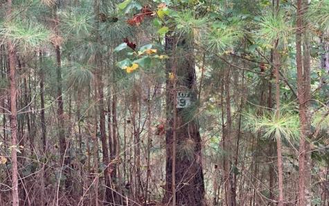 Lot9 Pinehurst Road Blairsville GA 30512